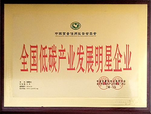 ȫ����̼�a(ch��n)�I(y��)�l(f��)չ������I(y��)